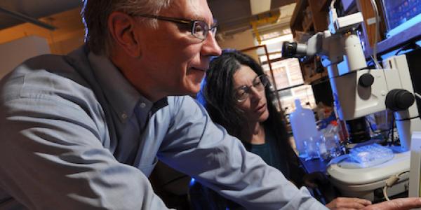 Nobel laureate Tom Cech runs an RNA experiment with a research associate