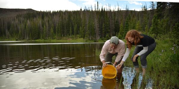 Two researchers in a mountain lake observe cutthroat eggs in a bucket of lake water.