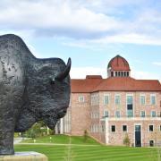 Buffalo statue in the foreground; Koelbel Building in the background