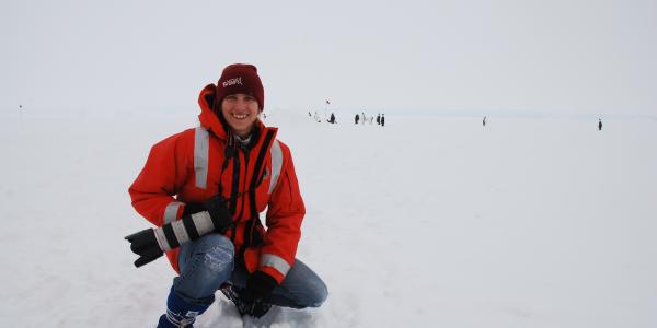 A scientist on the ice with penguins in the background