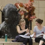 Students working together near a buffalo sculpture on campus