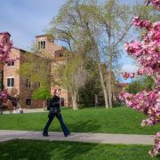 student walking on campus on a spring day