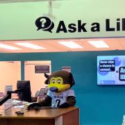 Chip the buffalo mascot working at the Ask a Librarian service desk